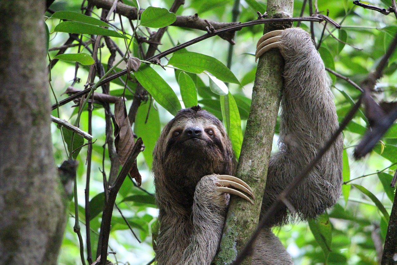 Guanacaste, Costa Rica
